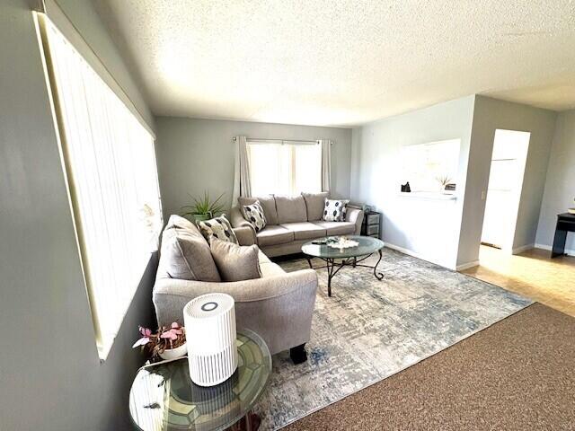 127 Berkshire F, West Palm Beach, FL 33417 - living room featuring a textured ceiling and carpet flooring
