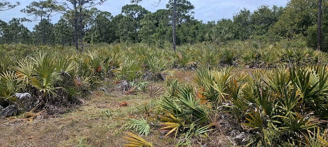 000 None, Grant Valkaria, FL 32950