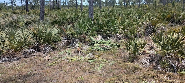 000 None, Grant Valkaria, FL 32950