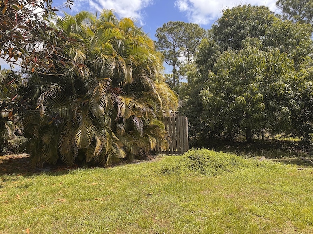 8587 SW 18th Ave, Stuart, FL 34997 - view of green lawn