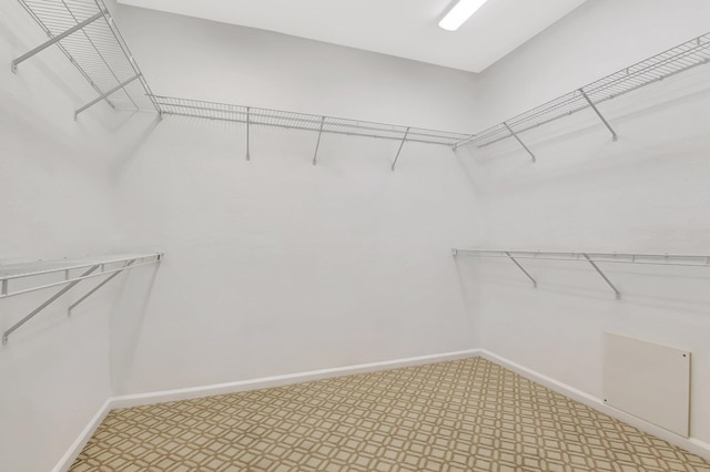 9066 Bay Harbour Cir, West Palm Beach, FL 33411 - view of walk in closet