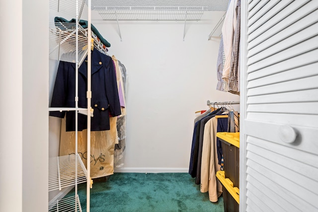 9165 Vineland Ct Unit B, Boca Raton, FL 33496 - spacious closet with carpet floors