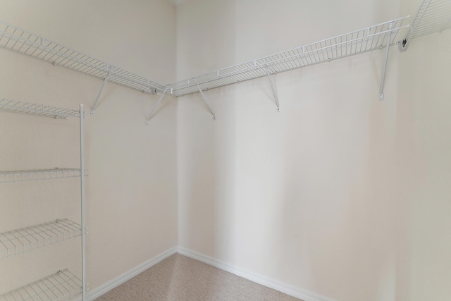 128 W Thatch Palm Cir, Jupiter, FL 33458 - spacious closet featuring carpet flooring