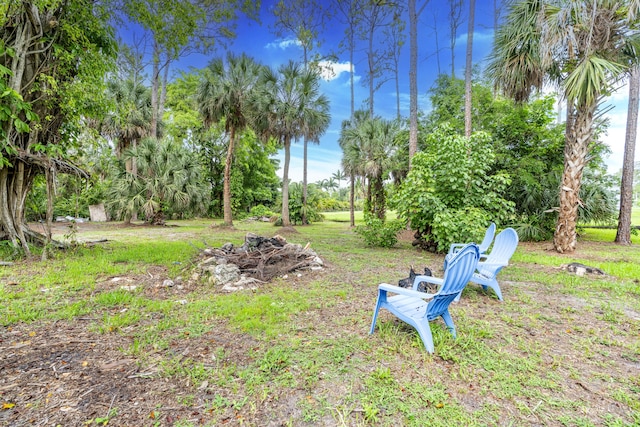 17069 81st Ln N, Loxahatchee, FL 33470 - view of yard featuring view of scattered trees