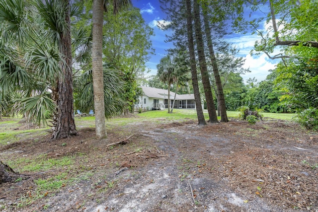 17069 81st Ln N, Loxahatchee, FL 33470 - view of yard