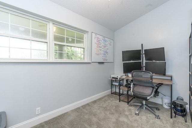 17069 81st Ln N, Loxahatchee, FL 33470 - office area featuring carpet flooring, lofted ceiling, and baseboards