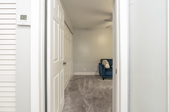 17069 81st Ln N, Loxahatchee, FL 33470 - corridor with carpet and baseboards