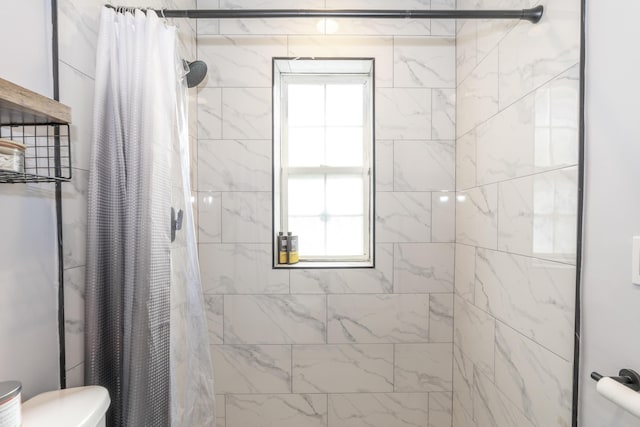 17069 81st Ln N, Loxahatchee, FL 33470 - full bath featuring toilet and a tile shower