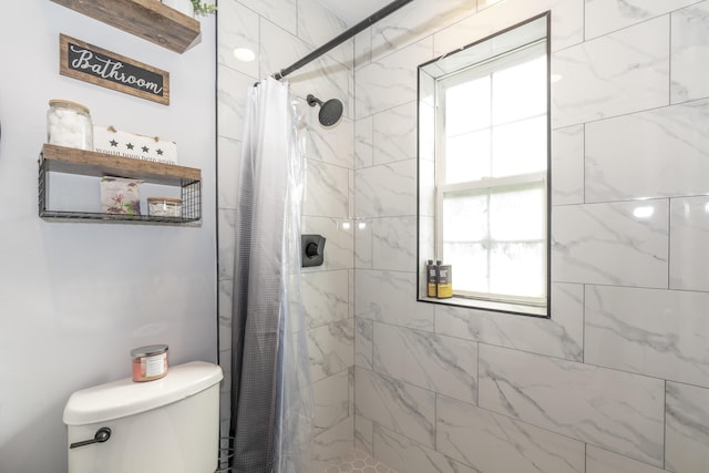 17069 81st Ln N, Loxahatchee, FL 33470 - bathroom featuring toilet, a stall shower, and plenty of natural light