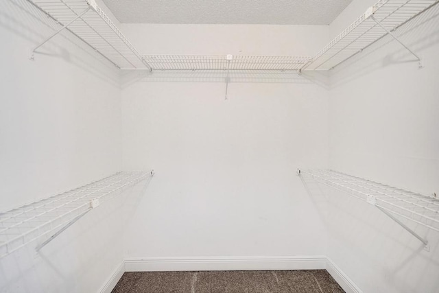 973 Springdale Cir Unit 97-C, Palm Springs, FL 33461 - walk in closet with carpet floors