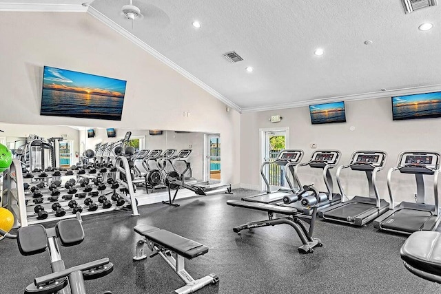 18531 Anchor Dr, Boca Raton, FL 33498 - gym with vaulted ceiling, ornamental molding, a textured ceiling, and recessed lighting