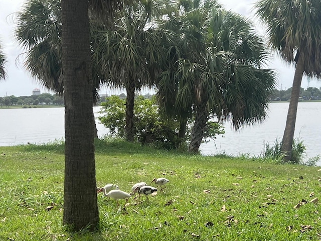 2020 Lake Osborne Dr Unit 10, Lake Worth, FL 33461 - water view