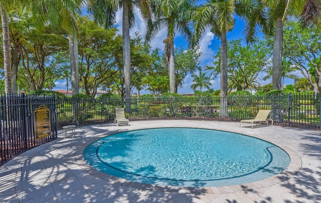 3583 Collonade Dr, Wellington, FL 33449 - view of swimming pool with a patio