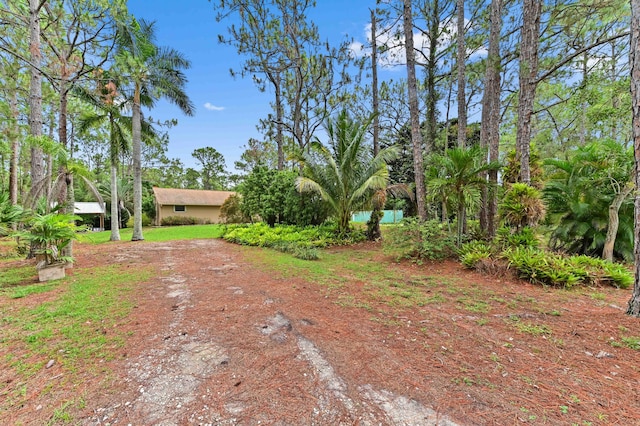 17183 76th St N, Loxahatchee, FL 33470 - view of yard with driveway