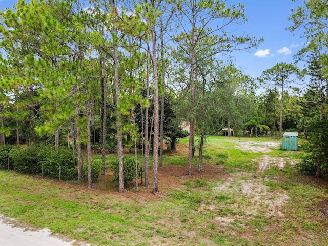 17183 76th St N, Loxahatchee, FL 33470 - view of yard