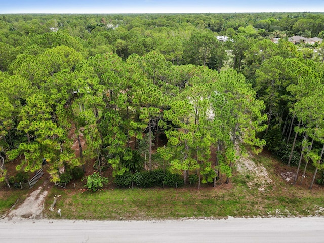 17183 76th St N, Loxahatchee, FL 33470 - aerial view of a forest