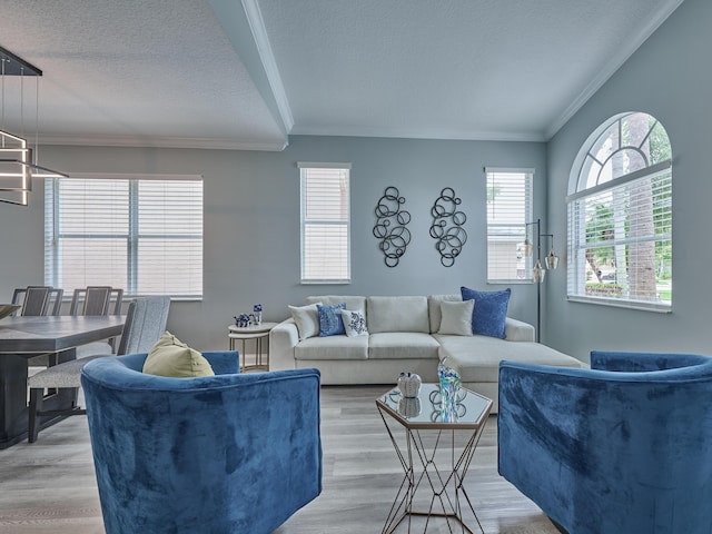 8194 Via Bolzano, Lake Worth, FL 33467 - living room with ornamental molding, light wood-style floors, healthy amount of natural light, and a textured ceiling