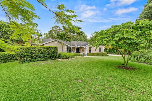 16243 E Calder Dr, Loxahatchee, FL 33470 - view of front of property featuring a front lawn and stucco siding