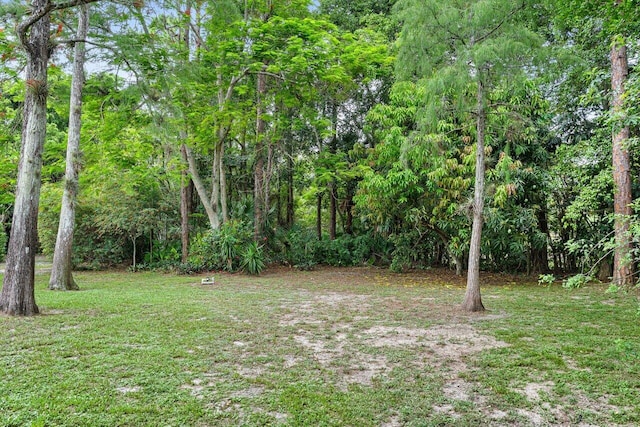 16243 E Calder Dr, Loxahatchee, FL 33470 - view of green lawn with a forest view