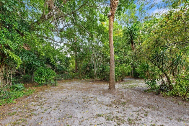 16243 E Calder Dr, Loxahatchee, FL 33470 - view of yard