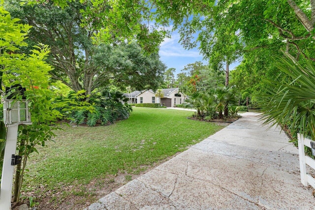 16243 E Calder Dr, Loxahatchee, FL 33470 - view of grassy yard