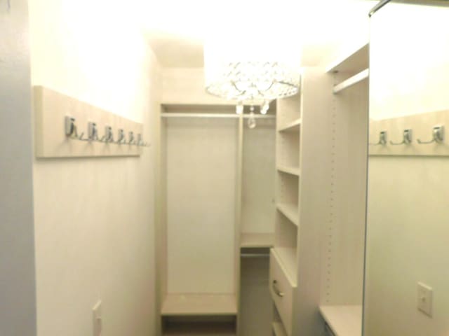 2470 NW 99th Way Unit 2470, Sunrise, FL 33322 - spacious closet with a chandelier