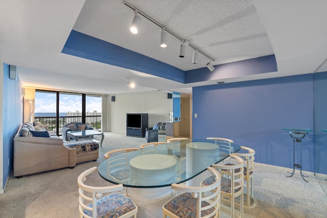 4740 S Ocean Blvd Unit 1403, Highland Beach, FL 33487 - carpeted dining room with track lighting, a raised ceiling, a textured ceiling, and baseboards