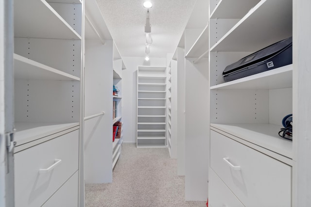 4740 S Ocean Blvd Unit 1403, Highland Beach, FL 33487 - walk in closet featuring light colored carpet
