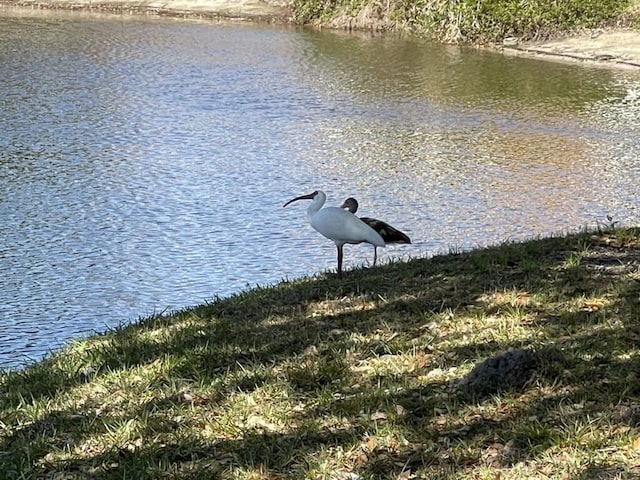 1225 NW 21st St NW Unit 15-1505, Stuart, FL 34994 - water view