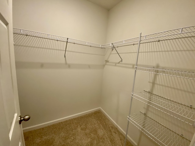 10789 SW Cremona Way, Port Saint Lucie, FL 34987 - walk in closet with carpet flooring