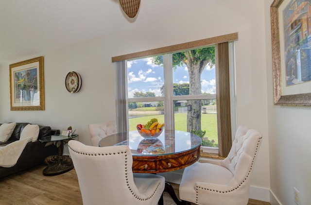 4290 Camrose Ln, West Palm Beach, FL 33417 - dining room with wood finished floors