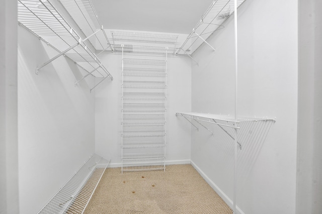 1401 S Ocean Blvd Unit 305, Boca Raton, FL 33432 - spacious closet with carpet floors