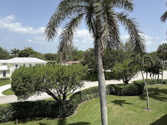 1401 S Ocean Blvd Unit 305, Boca Raton, FL 33432 - surrounding community featuring a yard