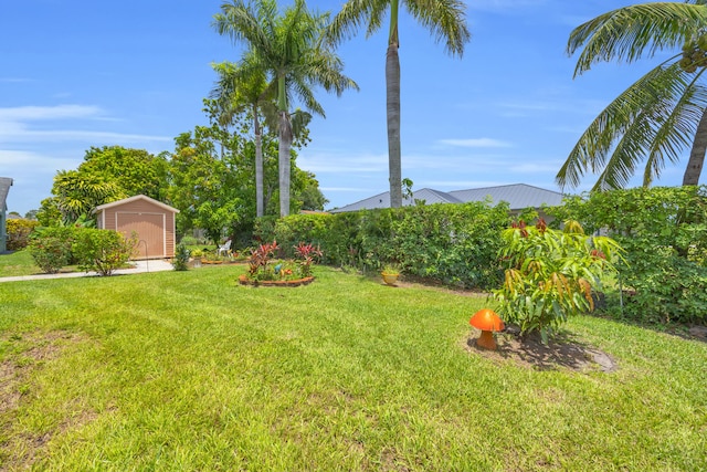 3592 SW Rosser Blvd, Port Saint Lucie, FL 34953 - view of green lawn
