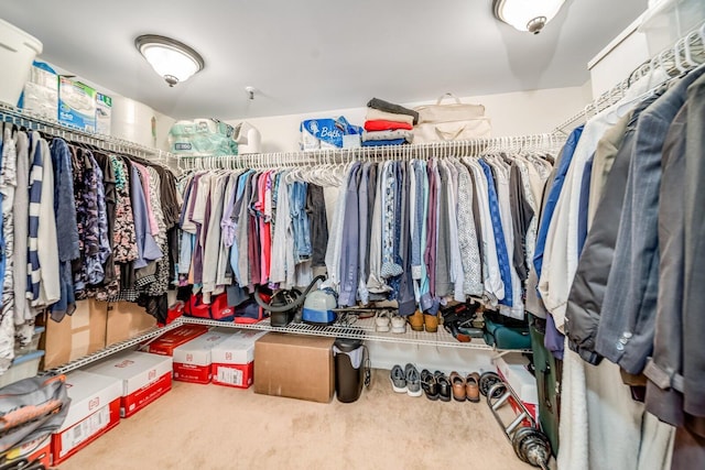 6372 La Costa Dr Unit 306, Boca Raton, FL 33433 - walk in closet with carpet floors