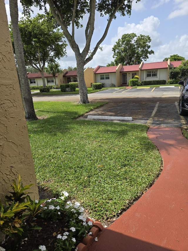 143 Lake Barbara Dr, West Palm Beach, FL 33411 - view of green lawn
