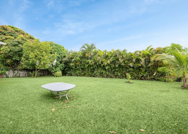 1081 SW Jacqueline Ave, Port Saint Lucie, FL 34953 - view of yard