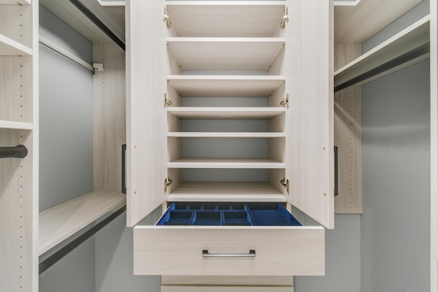 438 River Edge Rd, Jupiter, FL 33477 - view of spacious closet