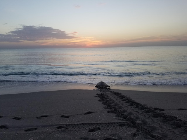 438 River Edge Rd, Jupiter, FL 33477 - water view featuring nearby beach