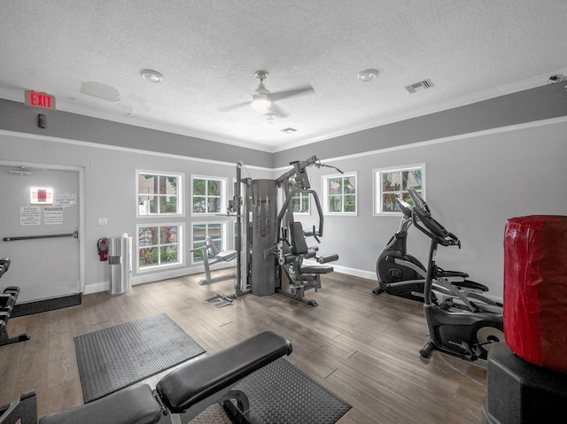 815 W Boynton Beach Blvd Unit 15-203, Boynton Beach, FL 33426 - gym featuring a ceiling fan, a textured ceiling, wood finished floors, baseboards, and ornamental molding