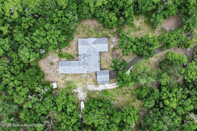 2318 Old Samsula Rd, Port Orange, FL 32128 - aerial view of property and surrounding area