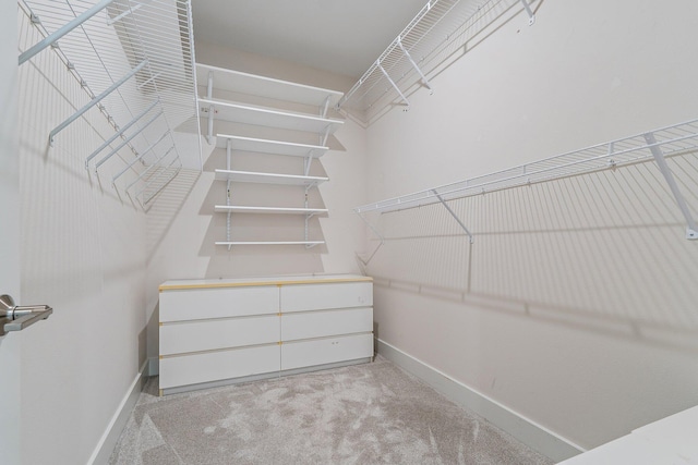 6825 Pointe Of Woods Dr, West Palm Beach, FL 33413 - spacious closet featuring light colored carpet