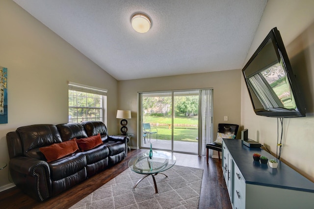 13134 Quiet Woods Rd Unit A, Wellington, FL 33414 - living area featuring lofted ceiling, dark wood-type flooring, and a textured ceiling