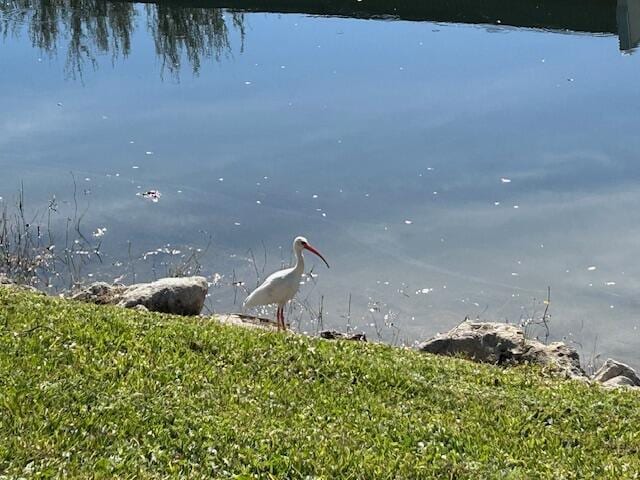 100 Lake Terry Dr, West Palm Beach, FL 33411 - water view