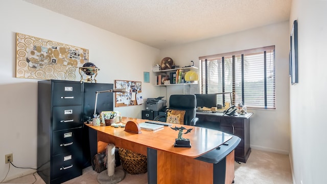 21596 Magdalena Ter, Boca Raton, FL 33433 - home office featuring light colored carpet, a textured ceiling, and baseboards