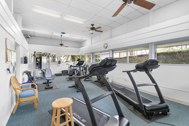 2600 SE Ocean Blvd Unit S15, Stuart, FL 34996 - workout area with a paneled ceiling, a ceiling fan, and carpet