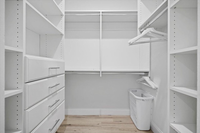 402 Sea Oats Dr Unit F, Juno Beach, FL 33408 - walk in closet featuring light wood-style flooring