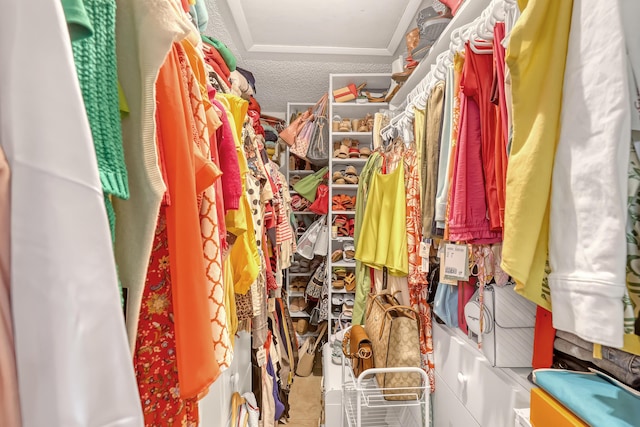 5780 W Fernley Dr Unit 101, West Palm Beach, FL 33415 - view of walk in closet