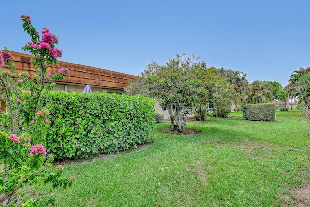 5780 W Fernley Dr Unit 101, West Palm Beach, FL 33415 - view of green lawn