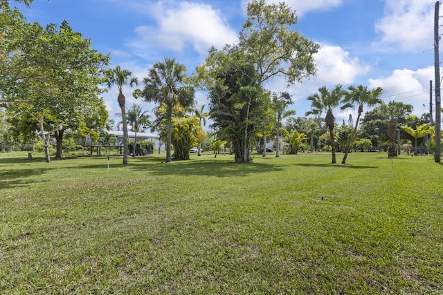 14685 40th St N, Loxahatchee Groves, FL 33470 - view of grassy yard